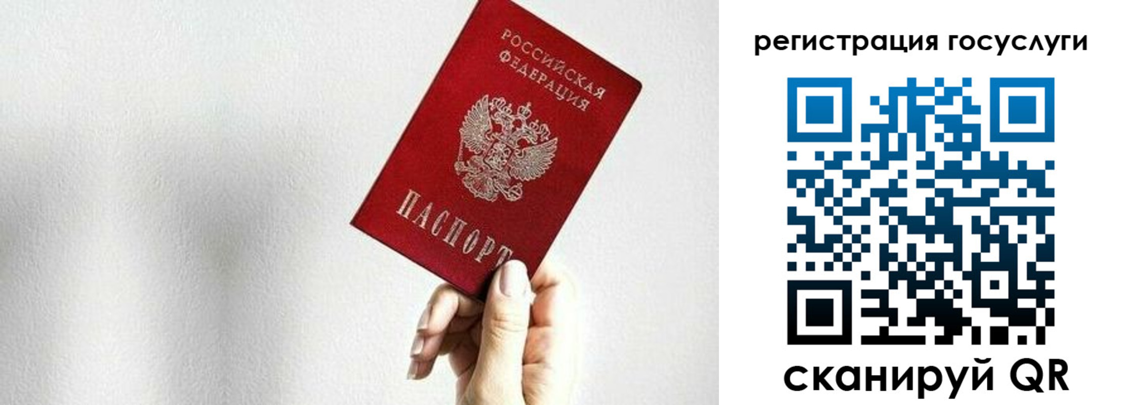 прописка гарантия в Вязьме